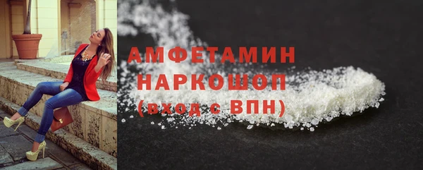 хмурый Дмитров