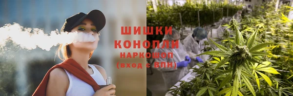 тгк Дмитриев
