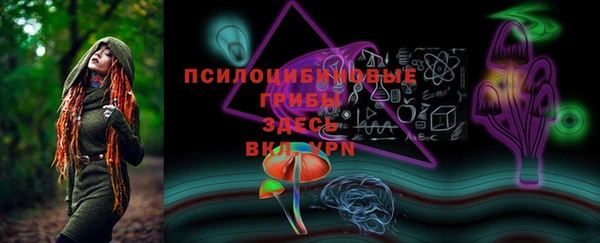 тгк Дмитриев