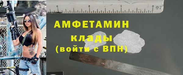 тгк Дмитриев