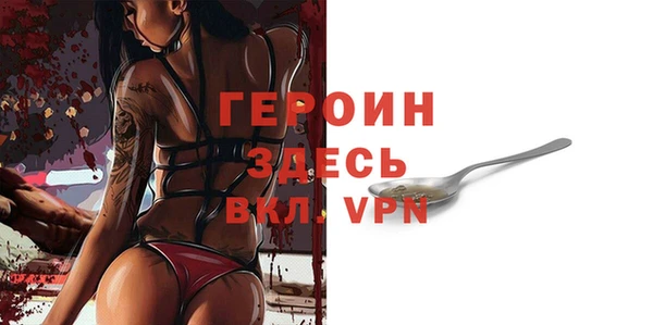 тгк Дмитриев