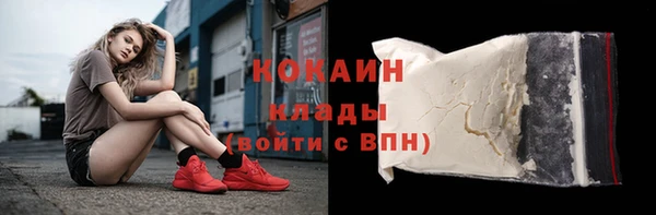 хмурый Дмитров