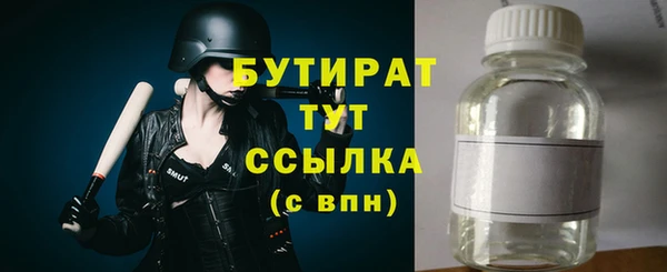 тгк Дмитриев
