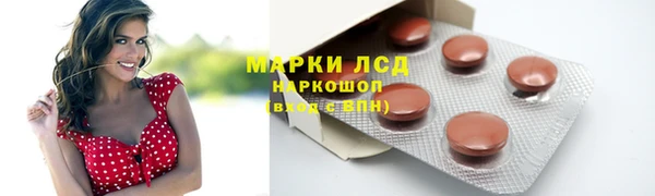 хмурый Дмитров