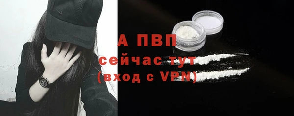 хмурый Дмитров