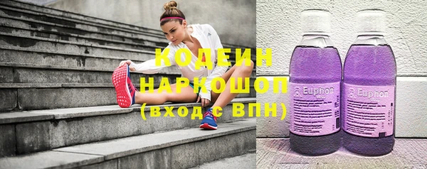 тгк Дмитриев