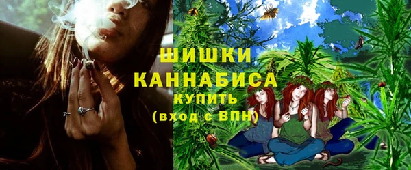тгк Дмитриев
