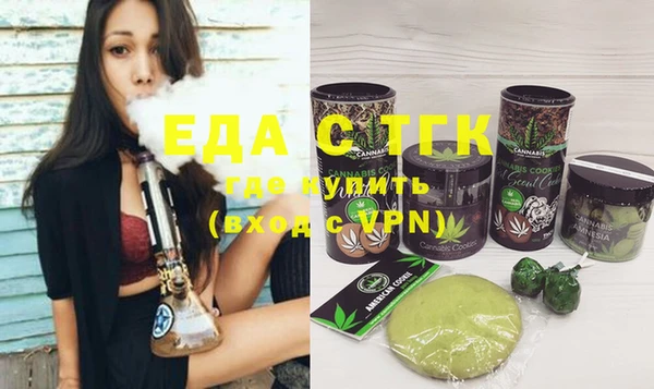 тгк Дмитриев