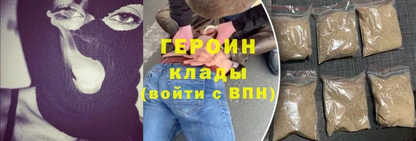 тгк Дмитриев