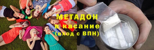 тгк Дмитриев
