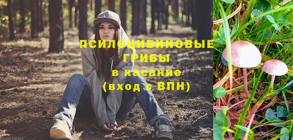 хмурый Дмитров
