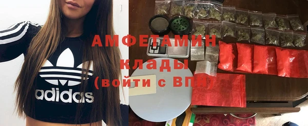 хмурый Дмитров