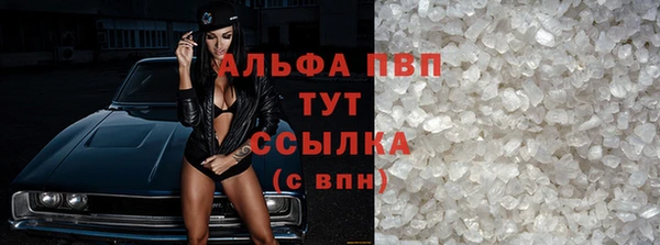хмурый Дмитров
