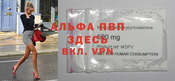 тгк Дмитриев