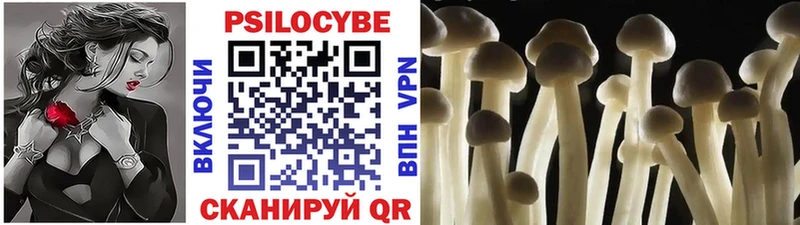 Купить  Троицк  Псилоцибиновые грибы мухоморы 